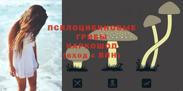 метадон Аркадак