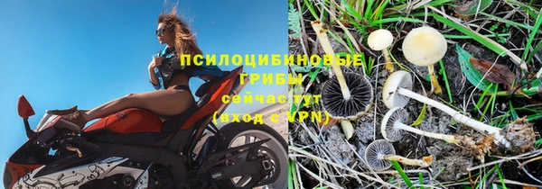 метадон Аркадак