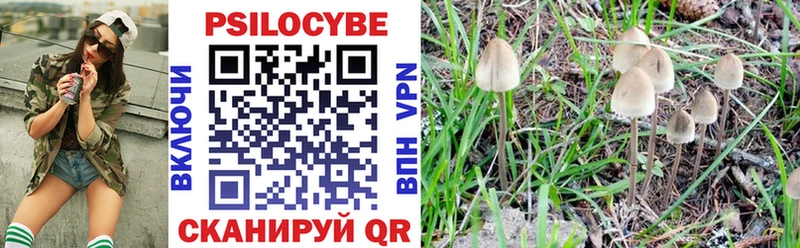 Псилоцибиновые грибы Magic Shrooms  наркошоп  Спасск-Дальний 